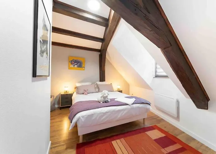 Les Lionceaux, 120M2 A Colmar, Place De Parking Gratuite