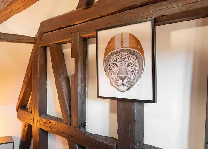 Les Lionceaux, 120M2 A Colmar, Place De Parking Gratuite