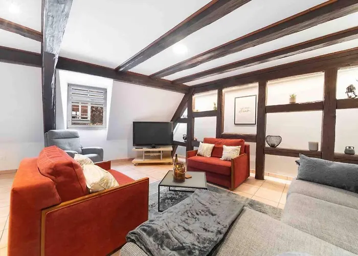 Les Lionceaux, 120M2 A Colmar, Place De Parking Gratuite