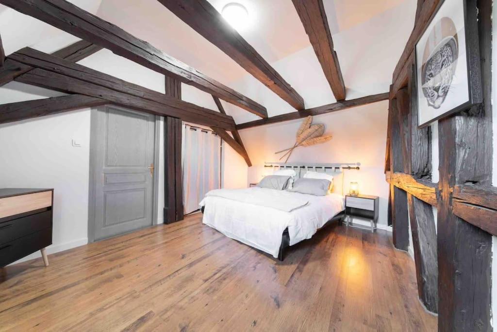 Les Lionceaux, 120m2 A Colmar, Place De Parking Gratuite Apartment *