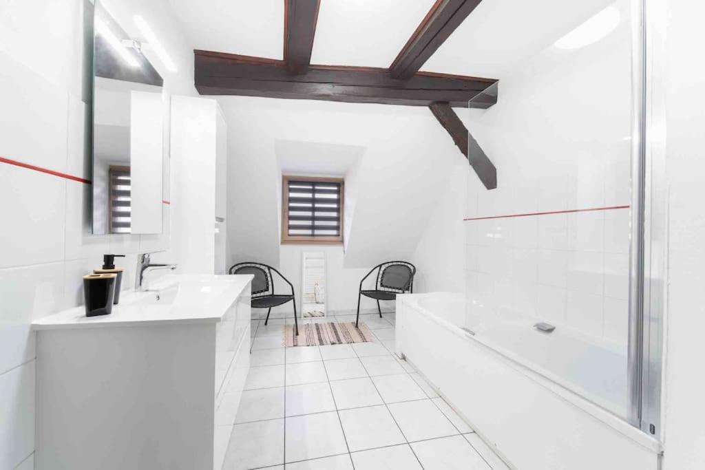 Apartamento Les Lionceaux, 120m2 A Colmar, Place De Parking Gratuite Colmar