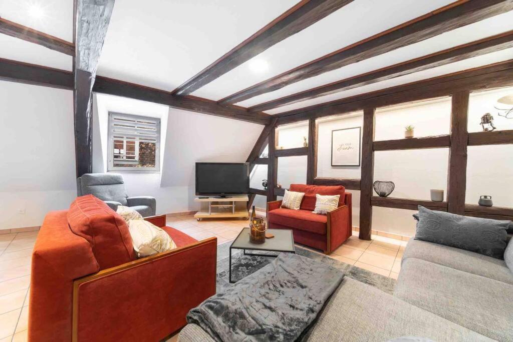 Les Lionceaux, 120m2 A Colmar, Place De Parking Gratuite Colmar