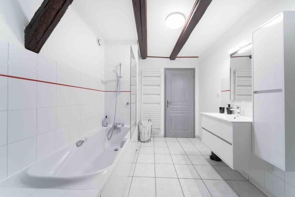 Les Lionceaux, 120m2 A Colmar, Place De Parking Gratuite Colmar