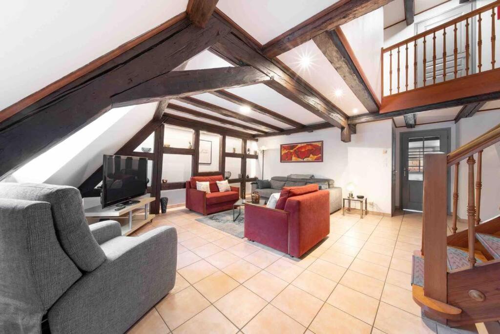 Les Lionceaux, 120m2 A Colmar, Place De Parking Gratuite *