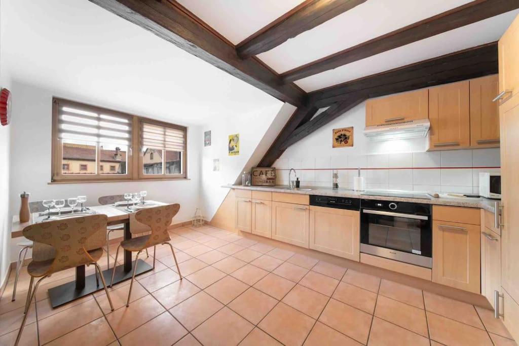 Apartment Les Lionceaux, 120m2 A Colmar, Place De Parking Gratuite Colmar