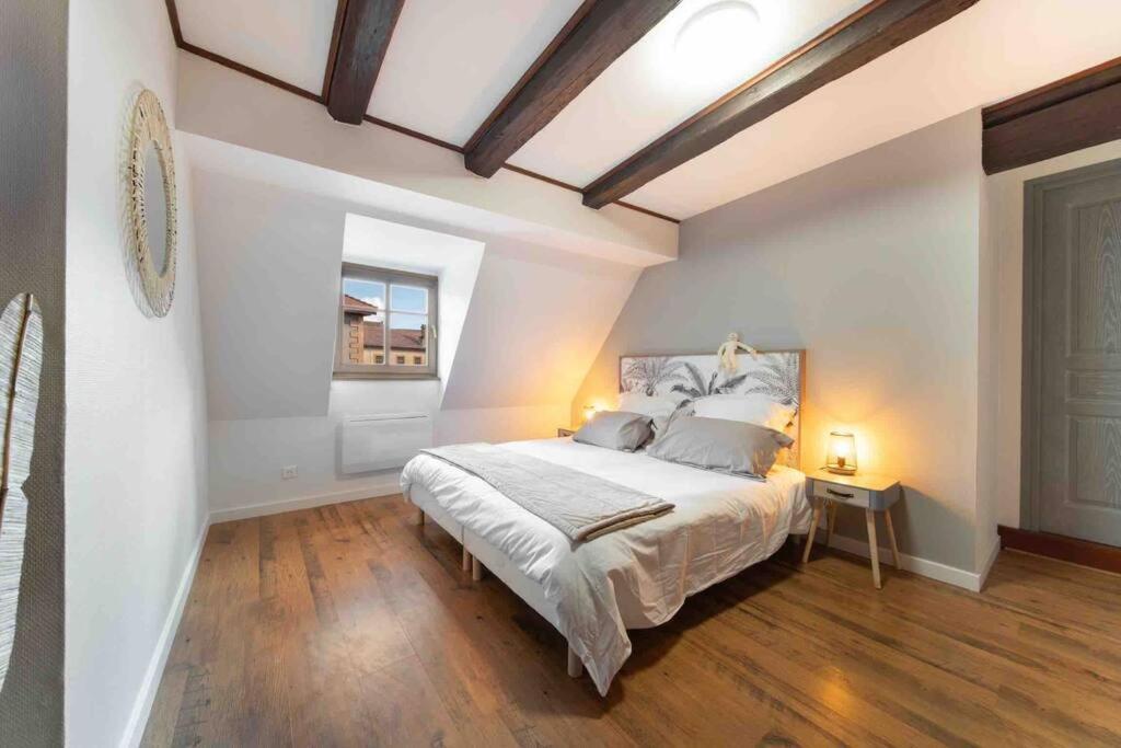 Les Lionceaux, 120m2 A Colmar, Place De Parking Gratuite *