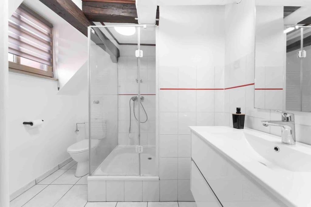 Les Lionceaux, 120m2 A Colmar, Place De Parking Gratuite Apartamento Colmar